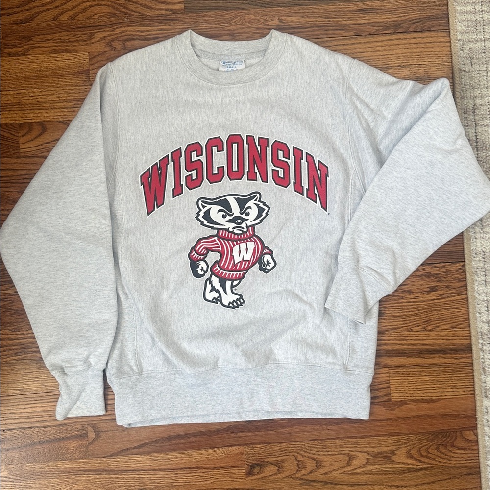 University of Wisconsin Champion Sweatshirt